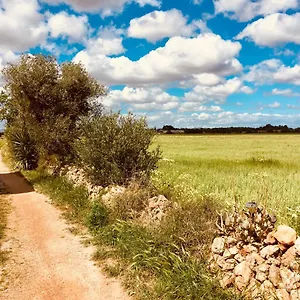  Сasa de vacaciones Arthouse Mit Haus Galeria 110qm Und Appartementhaus Mit Patio 30qm